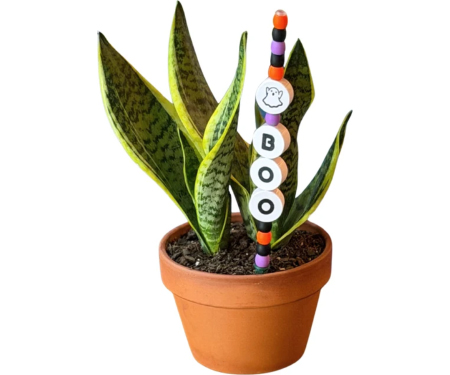 C103 KANBOO